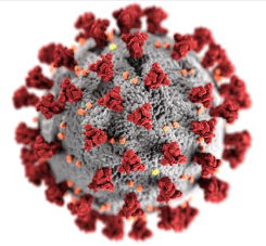 Corona virus; compliments of the CDC